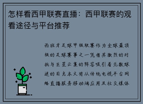 怎样看西甲联赛直播：西甲联赛的观看途径与平台推荐