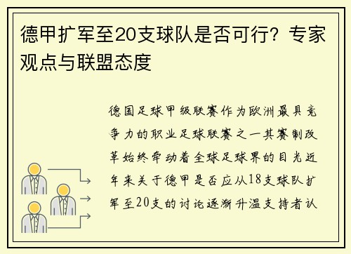 德甲扩军至20支球队是否可行？专家观点与联盟态度