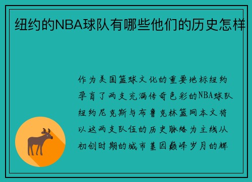 纽约的NBA球队有哪些他们的历史怎样